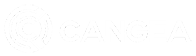 Cangea Connect